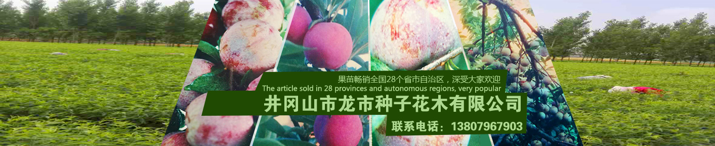 福建泉州閩光鋼鐵有限責(zé)任公司-福建省安溪縣湖頭鎮(zhèn)-三鋼閩光子公司-泉州閩光鋼鐵歡迎您