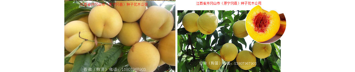 福建泉州閩光鋼鐵有限責(zé)任公司-福建省安溪縣湖頭鎮(zhèn)-三鋼閩光子公司-泉州閩光鋼鐵歡迎您